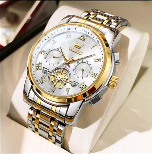 OLEVS 2859 Luxury Quartz Movement Watch
