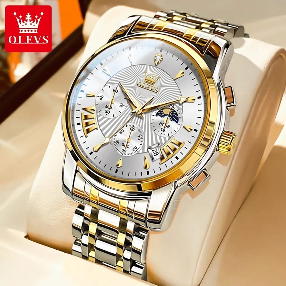 OLEVS 2892 Luxury Quartz Movement Watch